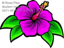 Clip Art Illustration Of A Hibiscus Flower Bloom