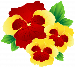 Red and Yellow Pansies PNG Clipart Image | Gallery Yopriceville ...