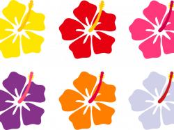 Hibiscus Cliparts 25 - 600 X 513 | carwad.net
