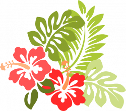 free hibiscus flower clipart - Clipground