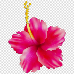 Pink Flower Cartoon clipart - Pink, Hibiscus, Flower ...