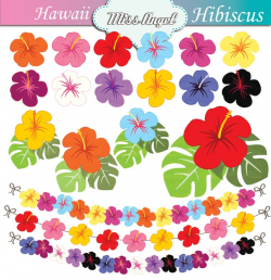 Hibiscus CLIP ART, 19 Scrap booking images, Colorful Beach Flowers 6