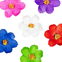 Super Z Outlet Hula Girl Paper Foam Hibiscus Color Assorted Flower Lei  Hawaiian Island Rainforest Theme Hair Clips for Costume, Birthday Party  Favors, ...