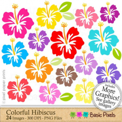 Hibiscus clipart - colorful hibiscus - Clip art - commercial use