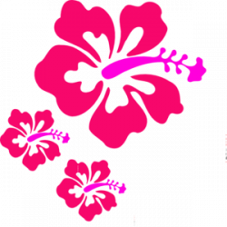 Coral Hibiscus clip art | [Design] Art & Inspiration | Clip ...