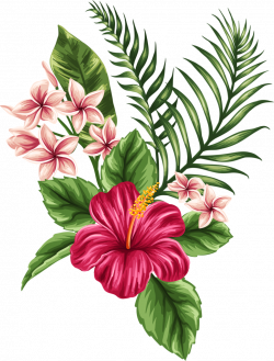 Tropical Flower Drawing at GetDrawings.com | Free for personal use ...