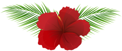 Exotic Flower Transparent Clip Art Image | Gallery Yopriceville ...