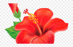 Red Exotic Flower Png Clipart Picture Poroplast Pinterest ...