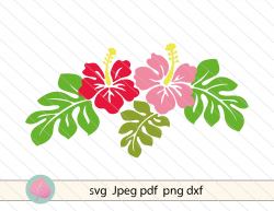 Hibiscus svg vector clipart Hybiscus svg dxf cut file Hybiscus flowers svg  Tropical flower svg for cricut, silhouette.Flower cutting file