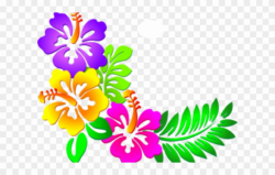 Hibiscus Clipart Design – Corner Flower Border Designs Png ..