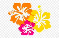Flowers Borders Clipart Hibiscus - Hawaiian Flowers Clipart ...