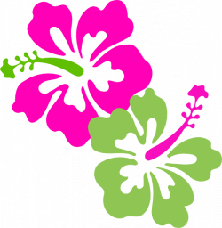 Hawaiian Flowers Clipart No Background - Flowers Healthy