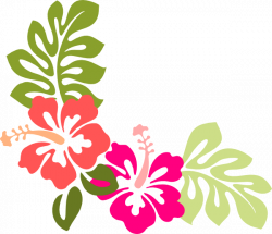 Hibiscus Vector Free Download - Vector And Clip Art Inspiration •