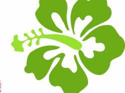 Hibiscus Clipart Green - Moana Flower Clip Art , Transparent ...