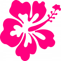 Hibiscus PNG, SVG Clip art for Web - Download Clip Art, PNG Icon Arts