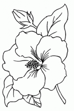 Royce's Hub: Free Embroidery Pattern : Hibiscus Flower ...