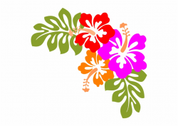 Hawaii Luau Clip Art Images Pictures - Hibiscus Clip Art ...