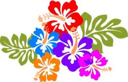 Pin by Kimberly rochin on HAWAIIAN HIBISCUS | Flower clipart ...