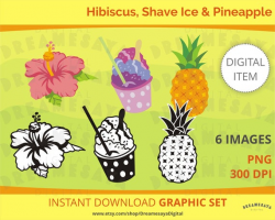 Hibiscus pineapple clipart, Shave ice clip art, Hawaiian theme digital  files, Commercial use graphics