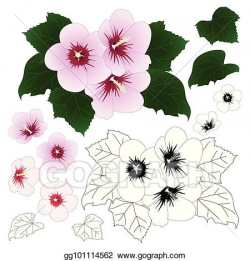 Vector Clipart - Hibiscus syriacus - rose of sharon outline ...