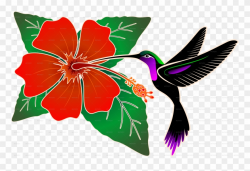 Batik Png Png Images - Hummingbird And Hibiscus Clipart ...