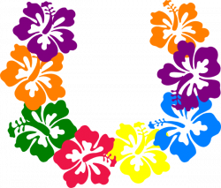 Hibiscus Flower Art Group (68+)