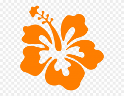 Showing Post & Media For Orange Hibiscus Cartoon - Orange ...