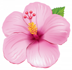 exotic flower clip art - Clipground