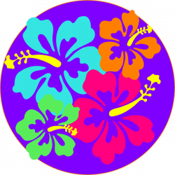 Cuisine of Hawaii Luau Hawaiian hibiscus Clip art - hibiscus 600*600 ...
