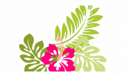 Hibiscus Clipart Luau - Flower And Leaves Clipart Free PNG ...