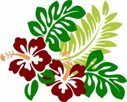 Imagem gratis no Pixabay - Hibisco, Flores, Red, Tropical | Hibiscus ...