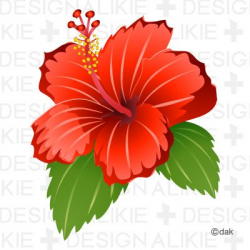 Hibiscus Flower｜Pictures of clipart and graphic design and ...