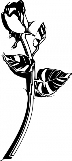 Flower Stem Clipart Black And White | Clipart Panda - Free Clipart ...