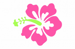 Pink Flower - Pink Hibiscus Clip Art Free PNG Images ...