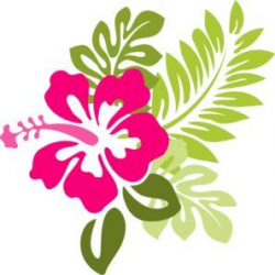 Pink Hibiscus clip art - vector clip art online, royalty ...