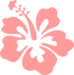 Hibiscus Pink Clip Art at Clker.com - vector clip art online ...