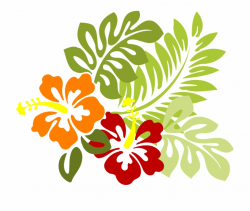Flower Tropical Leaves Hibiscus Png Image - Hibiscus Clip ...