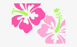 Polynesia Clipart Pink Flower Border - Hibiscus Clip Art ...