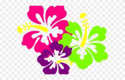 Polynesia Clipart Tropical Flower - Hibiscus Clip Art - Png ...