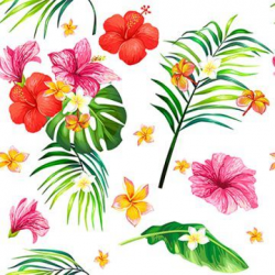 Vector Realistic Illustration Seamless Pattern With Tropical ...