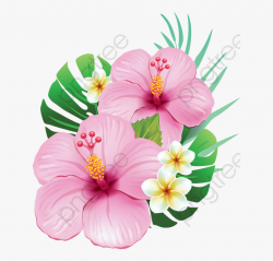 Hibiscus Flower Clipart Realistic - Tropical Flowers Png ...