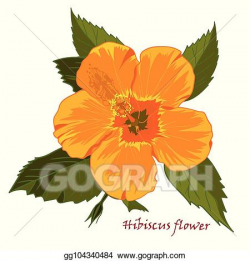 Vector Clipart - Set of yellow hibiscus flowers in realistic ...