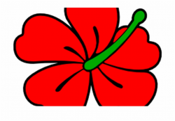 Red Hibiscus Flower Clip Art Free Borders And Clip - Clip ...
