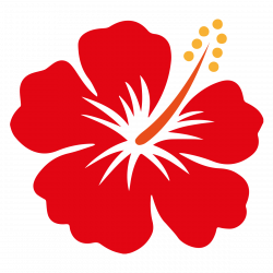 Hawaii Shoeblackplant Flower Clip art - hibiscus 1200*1200 ...