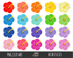 FLOWERS clipart, HIBISCUS clipart, commercial use, TROPICAL FLOWERS, SUMMER