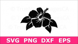 Hibiscus Clip art / Hibiscus SVG / Hibiscus Flower SVG ...