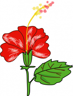 Flower Hibiscus Clipart | i2Clipart - Royalty Free Public Domain Clipart