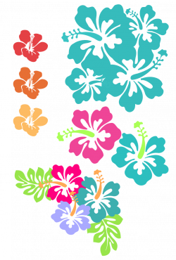 Collection of 14 free Hibiscus clipart teal. Download on ...