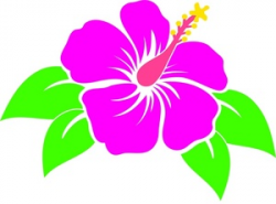 Free Tropical Flowers Cliparts, Download Free Clip Art, Free ...