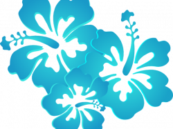 HD Turquoise Clipart Hibiscus - Blue And Green Flower ...